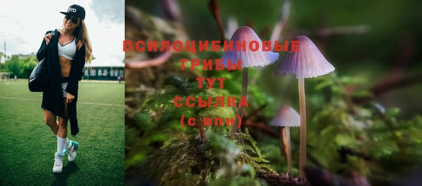 мескалин Краснотурьинск